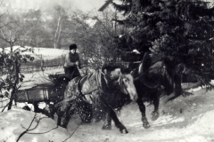 kienert-adolf-transport-winter-kist-1000