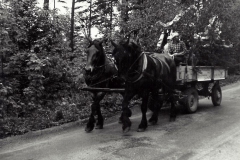 kienert-adolf-transporte-kist-1-1000