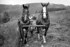 kienert-adolf-transporte-kist-3-1000