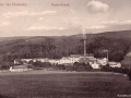 nws papierfabrik aus der ferne AK 1