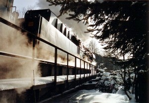 Dampflok 50 3648-8 mit Einheitstender am 20. Februar 2005 