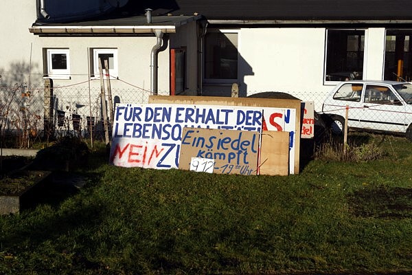 Die Banner im Weihnachtsfrieden