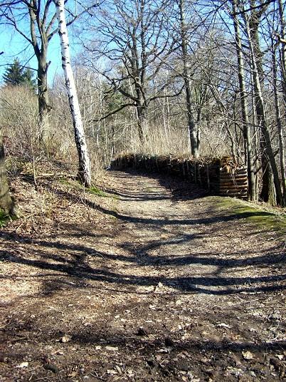 Ehemalige Winterrodelbahn in Einsiedel