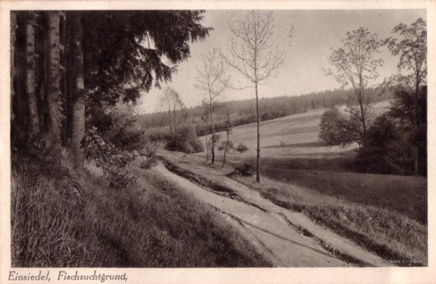 Fischzuchtgrund mit Blick zur Baracke Turnerheim