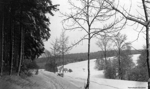 Fischzuchtgrund Einsiedel im Winter