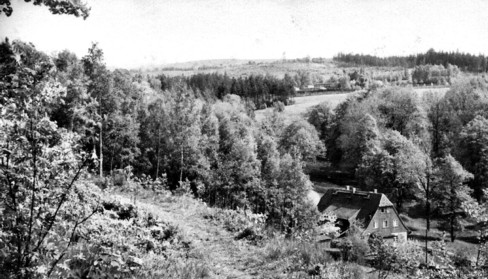 Röhrensteig oberhalb Fischzuchtweg