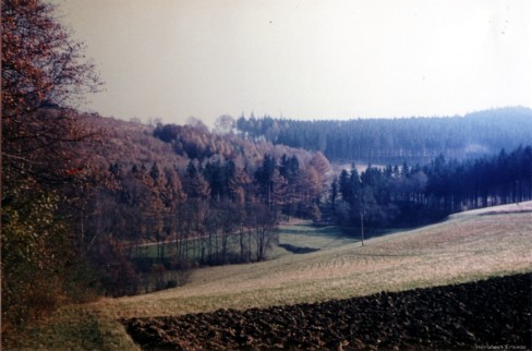 Fischzuchtgrund Einsiedel Diaaufnahme