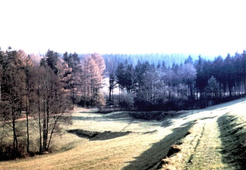 Fischzuchtgrund 1950er/60er Jahre