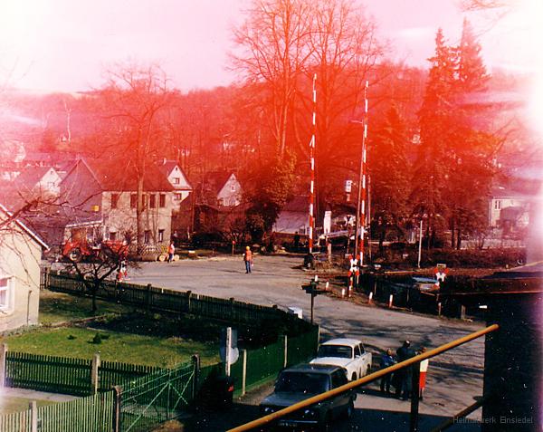 Baumfällarbeiten 1991