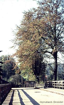 Herbst an der Oberförsterbrücke