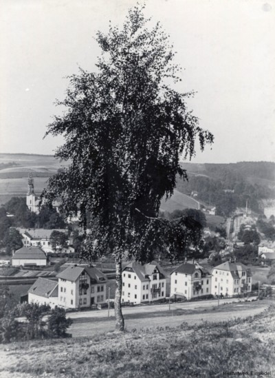 Blick vom Knorrberg Richtung Kirche 1910