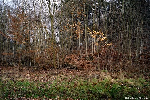 Ehemaliger Standort nahe Waldklause Einsiedel