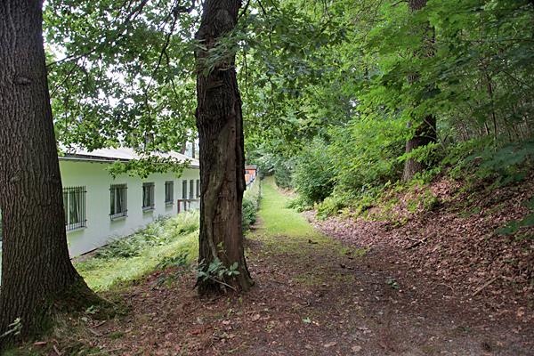 Ehemaliger Auslauf der Sommerrodelbahn hinter der Waldklause Einsiedel