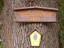 Hinweisschild an der Friedenseiche 1871