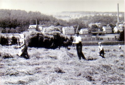 Heuernte beim Franke-Bauer 1944