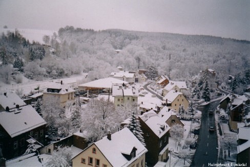 Eibischbusch Januar 2005