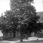 Großes Kastanie im Bauerngut Funkstr. 5 in Einsiedel