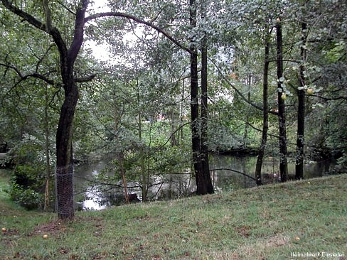 Teich des ehemaligen Naturbades Einsiedel 2004