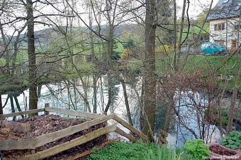 Reste vom Einsiedler Naturbad: Der Teich 2006