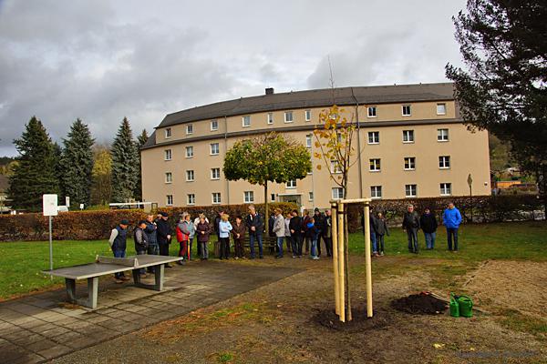Pflanzung der Lutherlinde in Einsiedel 2017