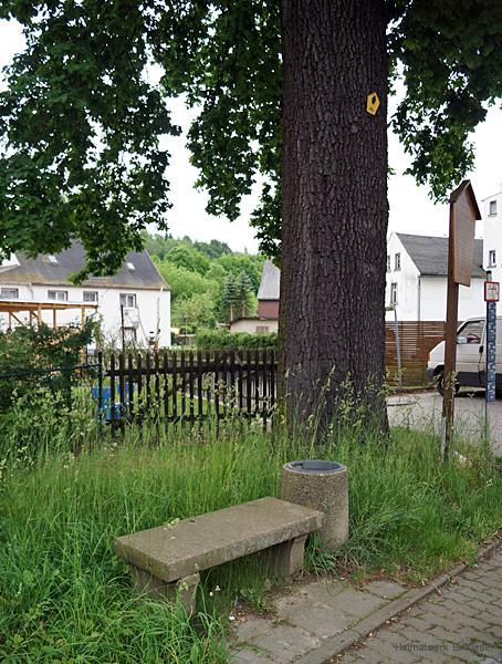 Steinerne Bank neben der Teuerungseiche