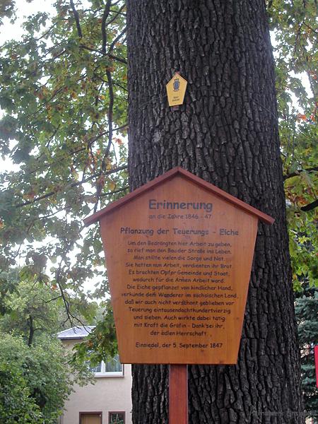 Erinnerungstafel an der Teuerungseiche