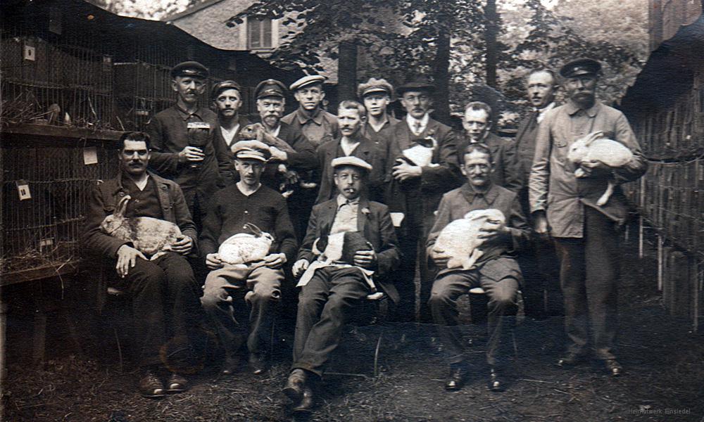 Rassekaninchenzüchterverein Einsiedel 1920
