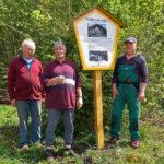 Schild Waldesrauschen - Bilder vom Tage