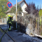 Löscharbeiten Heckenbrand - Bilder vom Tage