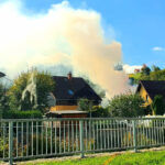 Heckenbrand - Bilder vom Tage