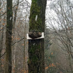 Baum frisst Schild - Bilder vom Tage