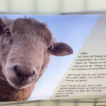 Hinweisschild Schafe nicht füttern - Bilder vom Tage