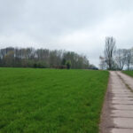 Hexenfeuer: Vorbereitung - Bilder vom Tage