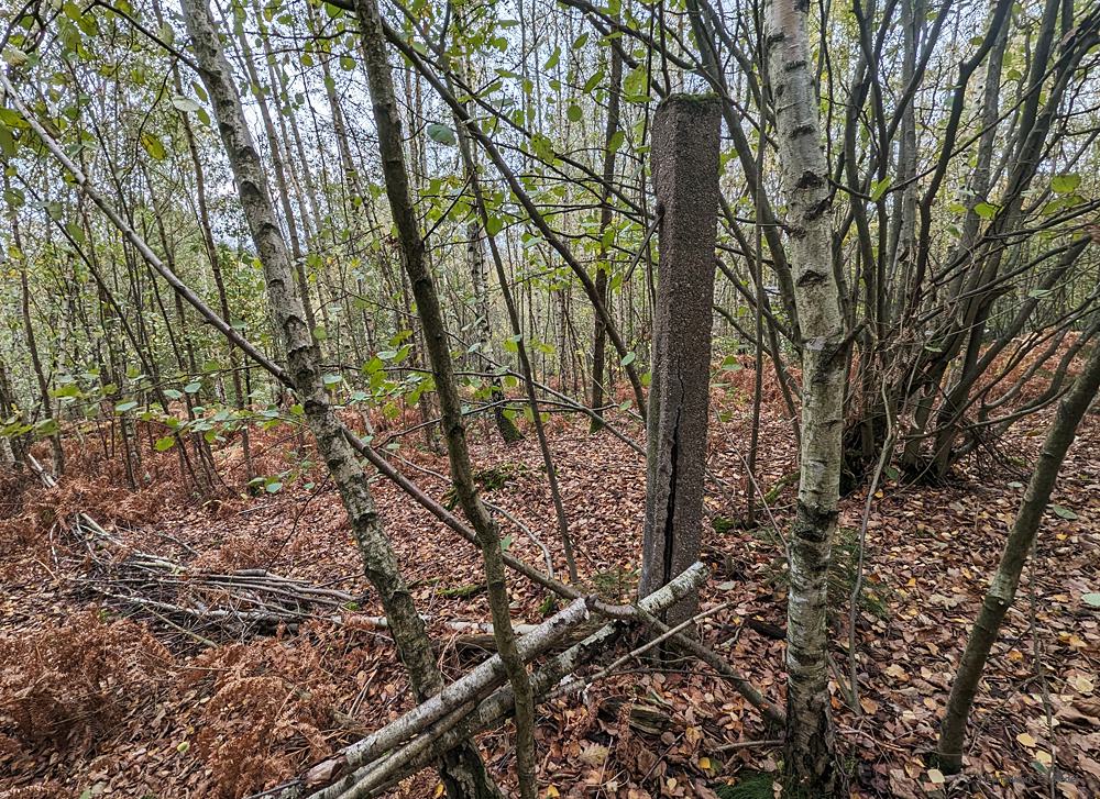 Am Weg Richtung Körnerhöhe Einsiedel